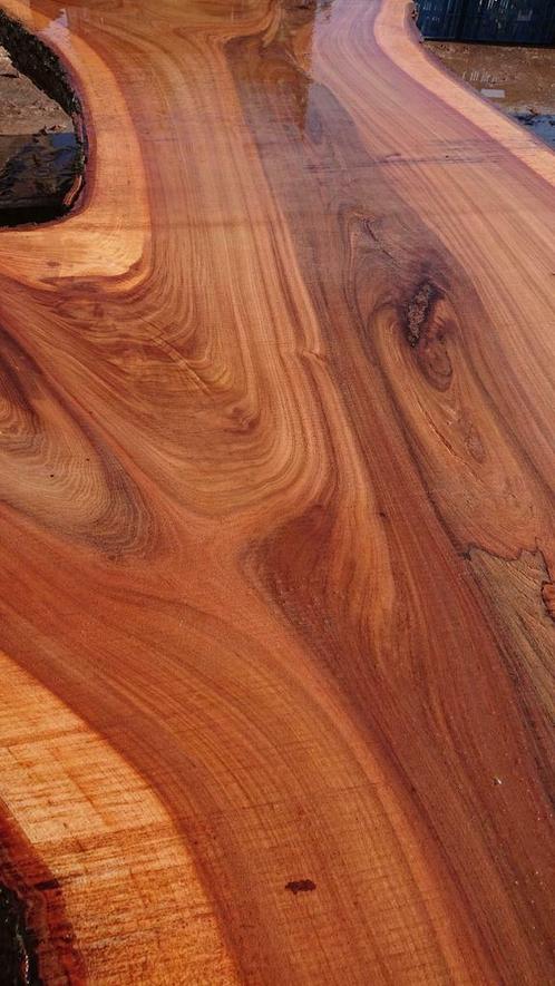 Vele schaaldelen, boomstam planken en meer!, Doe-het-zelf en Verbouw, Hout en Planken, Plank, 300 cm of meer, 50 mm of meer, Ophalen