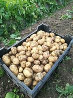 Te koop aardappels en uien NIEUWE OOGST 2022
