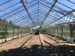 Kasconstructies, Hobbykassen, Kas materialen etc., Tuin en Terras, Ophalen of Verzenden, Zo goed als nieuw, Overige typen