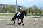 Instructie met aandacht voor jou en paard, Centered riding,, Paardrijles of Ponykampen