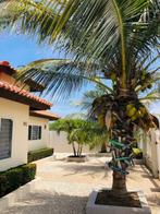 Vakantie appartement Aruba Noord € 65,- per nacht, Vakantie, Vakantiehuizen | Nederlandse Antillen, Dorp, 1 slaapkamer, Appartement