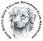 Nova Scotia Duck Tolling Retriever (Toller) pups aangeboden, Dieren en Toebehoren, Honden | Retrievers, Spaniëls en Waterhonden