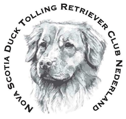 Nova Scotia Duck Tolling Retriever (Toller) pups aangeboden, Dieren en Toebehoren, Honden | Retrievers, Spaniëls en Waterhonden