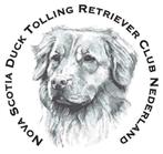 Nova Scotia Duck Tolling Retriever (Toller) pups aangeboden, Dieren en Toebehoren, Overige rassen, 8 tot 15 weken, Meerdere, Meerdere dieren