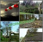 Stormschade  bomen rooien