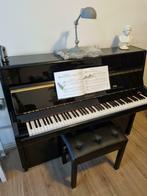 Pianoles voor kinderen en volwassenen in Arnhem, Privéles, Toetsinstrumenten
