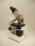 Euomex microscoop MIC 810-Led met binoculaire kop
