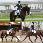 Dressuur instructie door Lichte Tour amazone aangeboden!, Diensten en Vakmensen, Paardrijles of Ponykampen