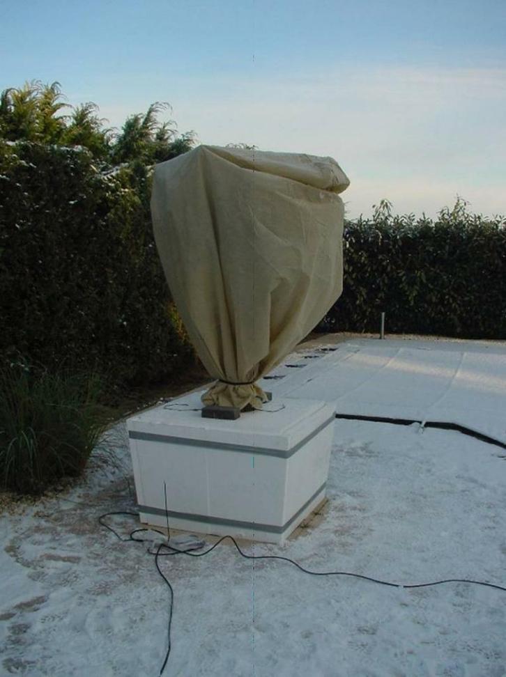 Winterbescherming Palmbomen, Olijfbomen, Vijgenbomen, Palm., Tuin en Terras, Planten | Bomen, Winter, In pot, Ophalen of Verzenden