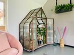 Greenhouse Kas 140 x 75 x 175 cm glaskas de enige echte!, Kweekkas, Gebruikt, Ophalen of Verzenden, Glas