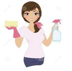 Schoonmaakster werkster schoonmaakbedrijf huishoudelijkhulp