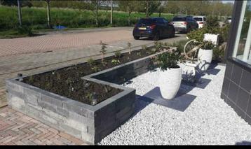 Hovenier/ Graven/ tuinen/ Stratenmaker/ Veranda/Boomstronken beschikbaar voor biedingen