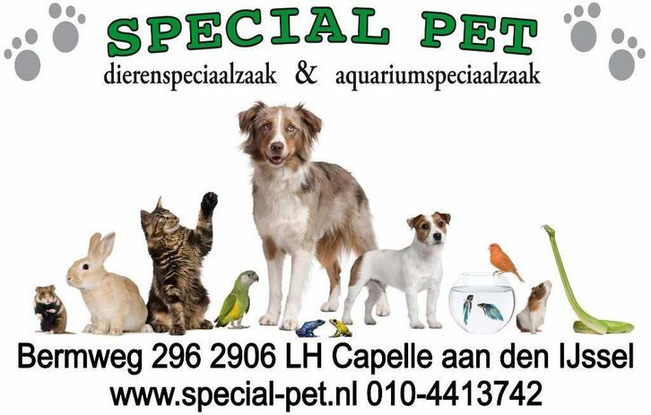 Special-Pet