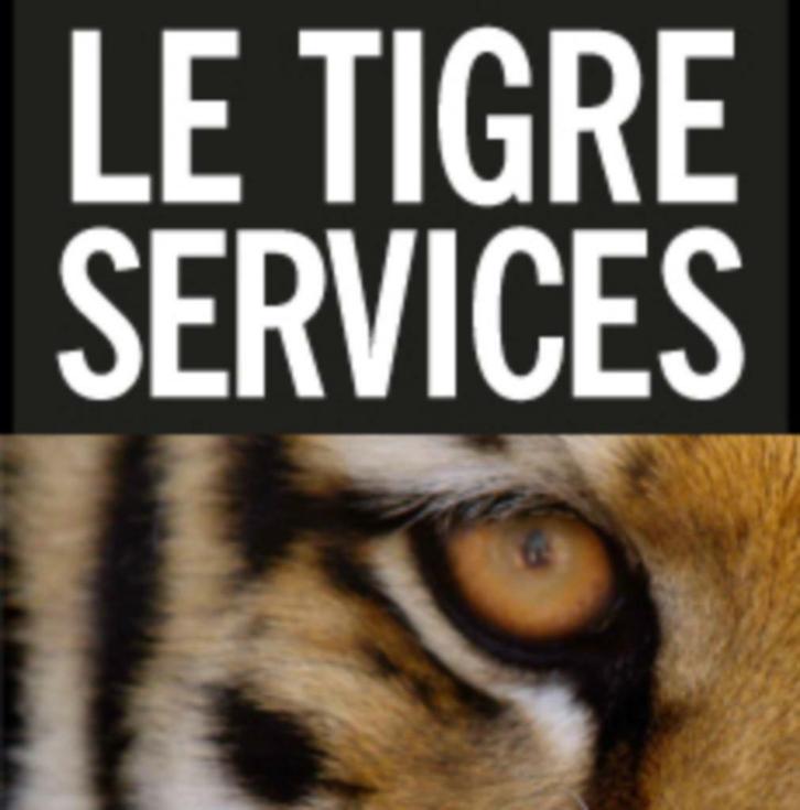 Le Tigre Webdesign Holland