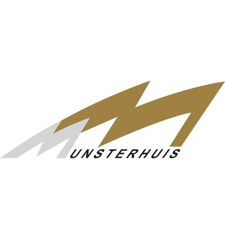 Munsterhuis Renault - Hengelo