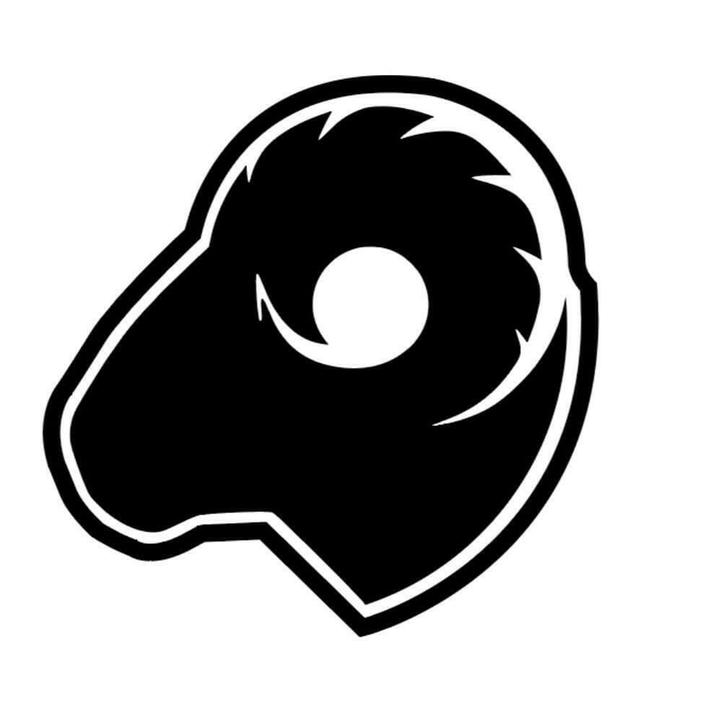 Ram Bikes 