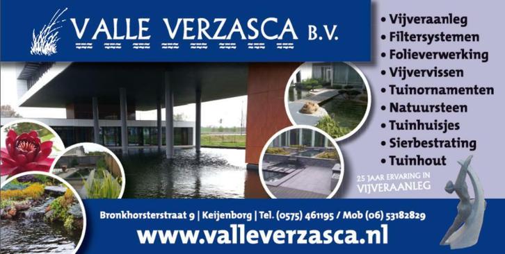 ValleVerzasca bv