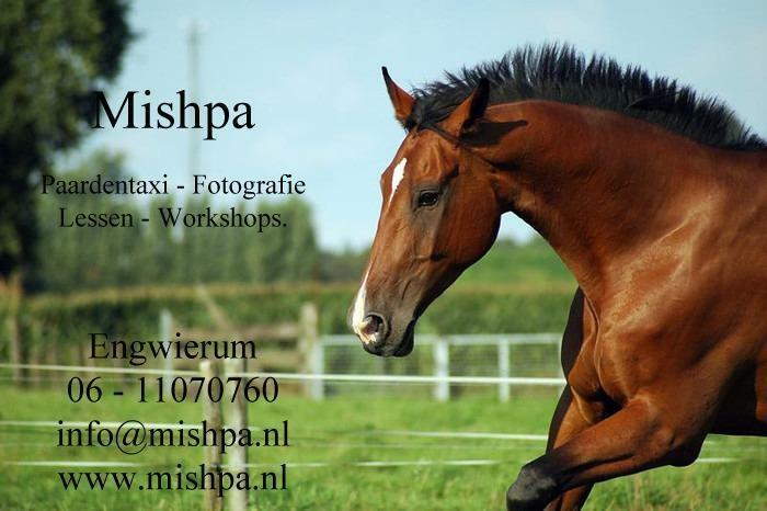 Mishpa