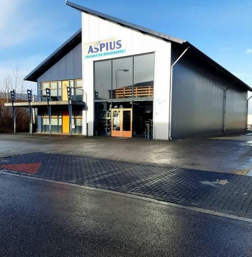 Aspius Drachten