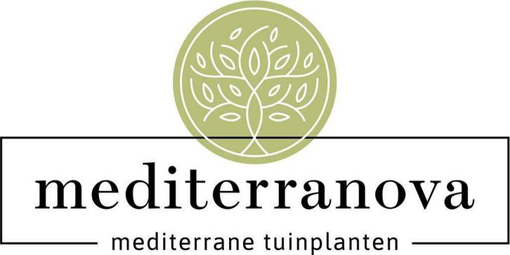 Mediterranova