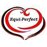 equi-perfect