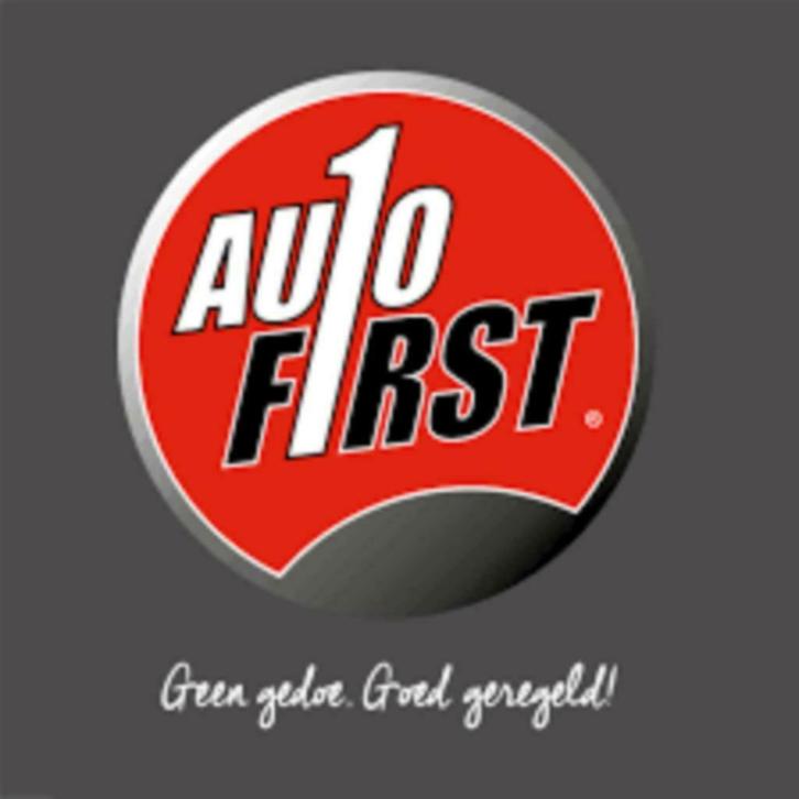 Autobedrijf menno walinga