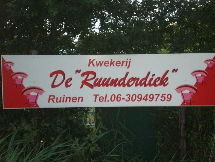 Kwekerij 'De Ruunderdiek'