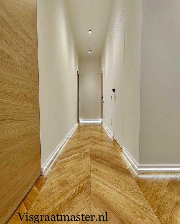 Visgraatmaster