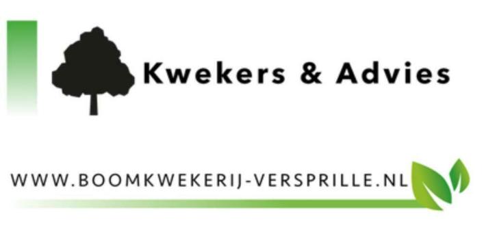 Bomenverkoop  Versprille