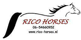 Rico-Horses