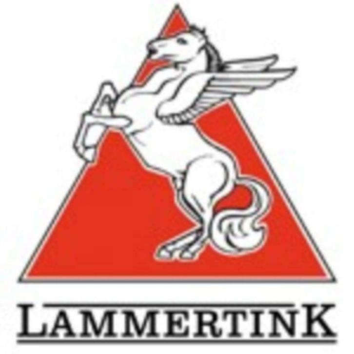 Lammertink Sportcars B.V.