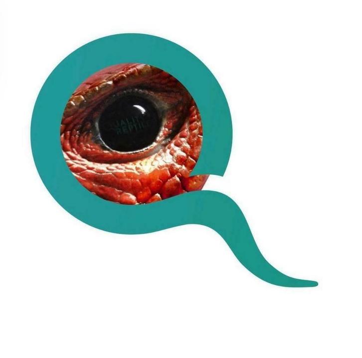 Quality Reptiles