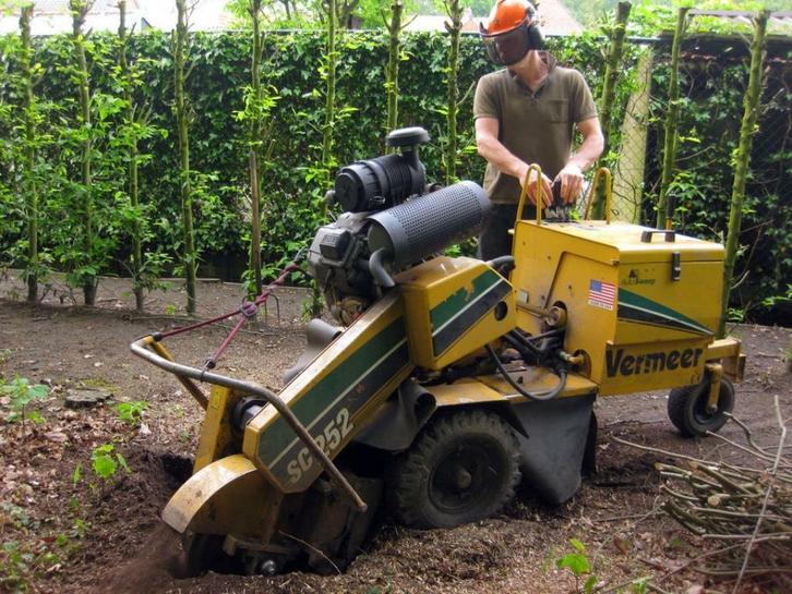 Dendron - boomstronk verwijderen