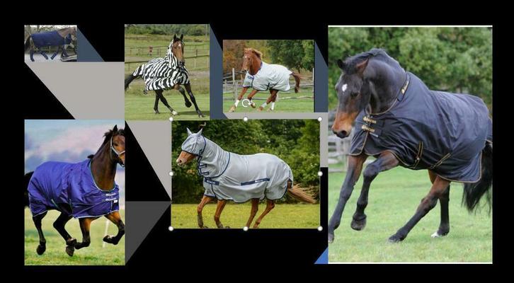 Horsefriends