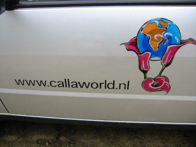 Calla World