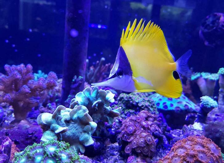 Aquadeco