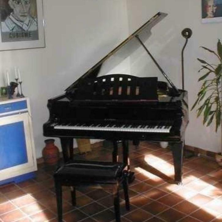 Pianoverkoop Zuid-Limburg