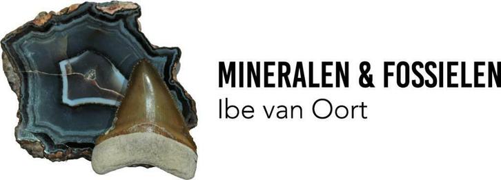 mineralenenfossielenkopen