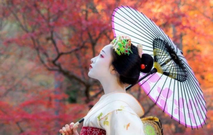 De Japanse Zijdewinkel