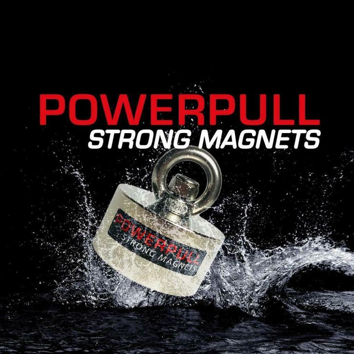 Magneetvissen
