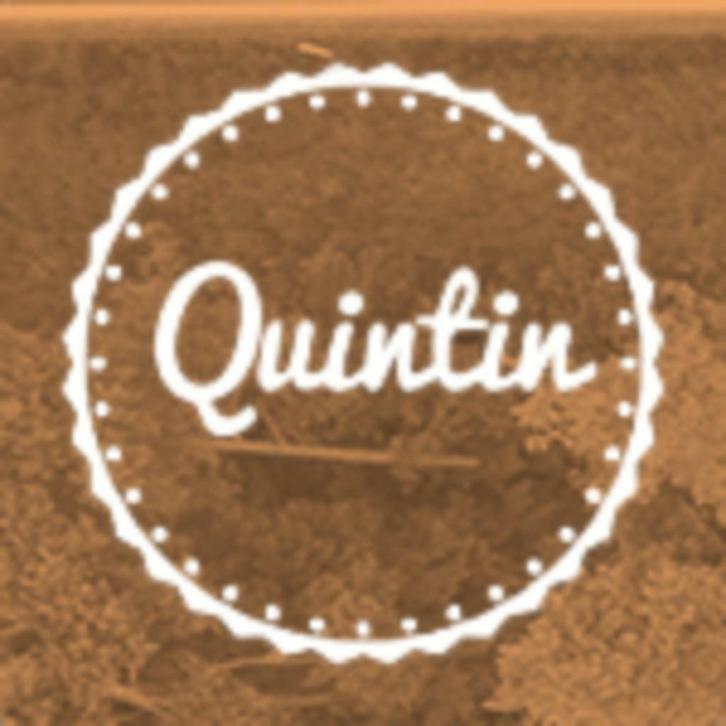 QP