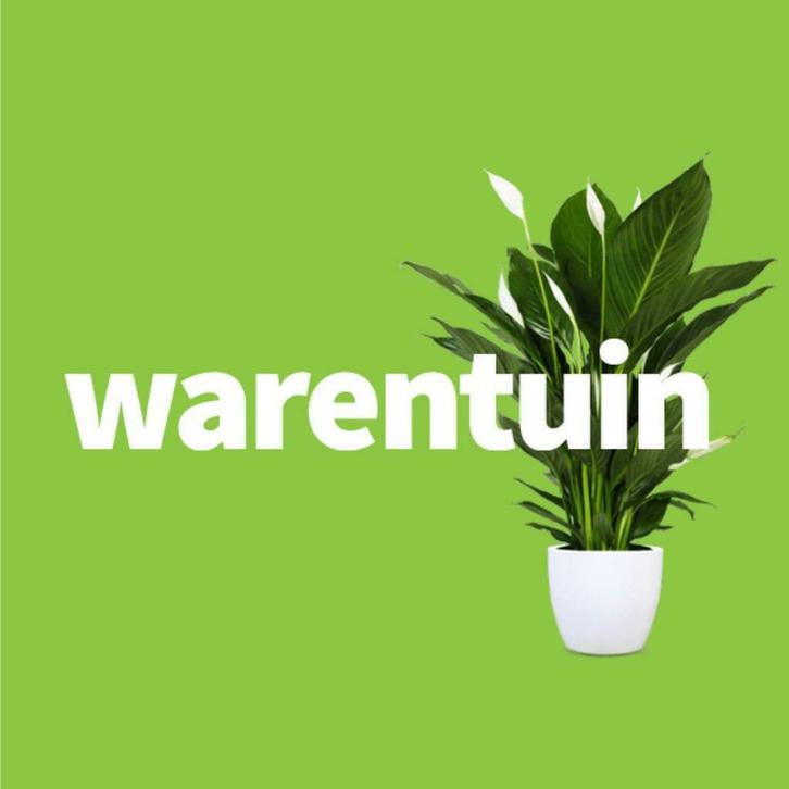 Warentuin