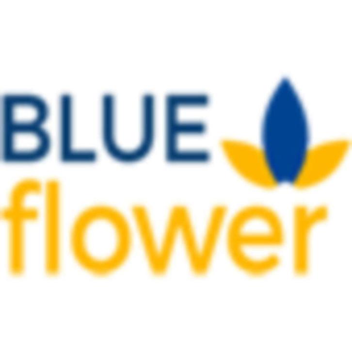 Blue Flower