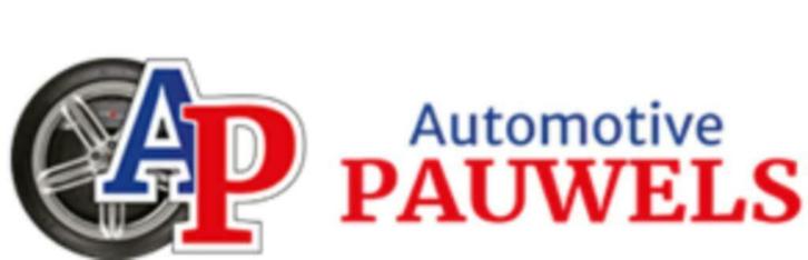 Automotive Pauwels