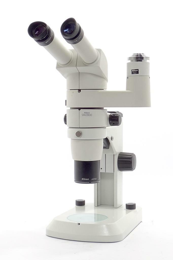 microscopist