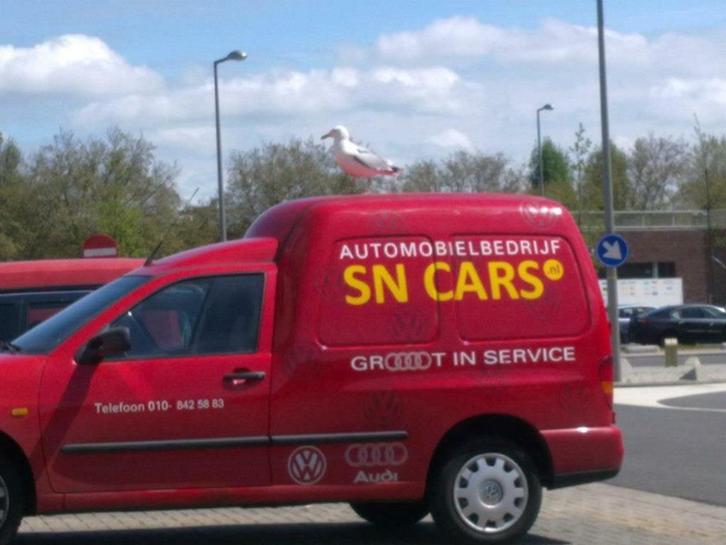 SN Cars
