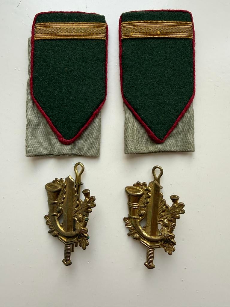 Schouder Emblemen Limburgse Jagers, Ophalen of Verzenden, Landmacht, Nederland, Embleem of Badge