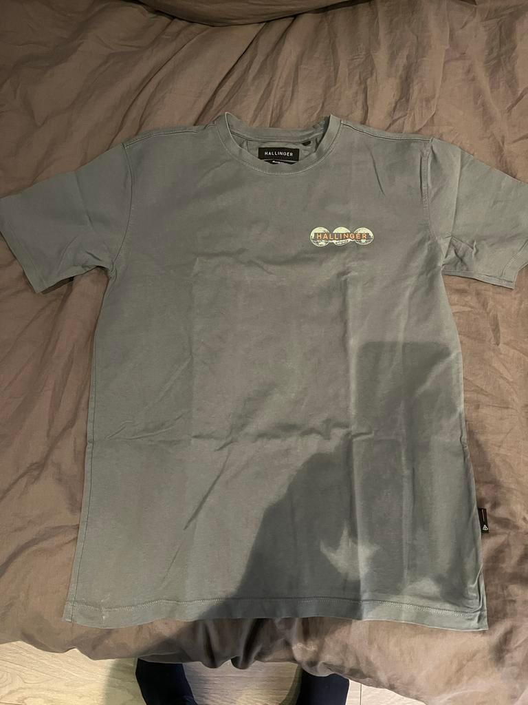 Hallinger T-shirt - Maat M - Sting, Kleding | Heren, Ophalen of Verzenden, Zo goed als nieuw, Maat 48/50 (M), Grijs