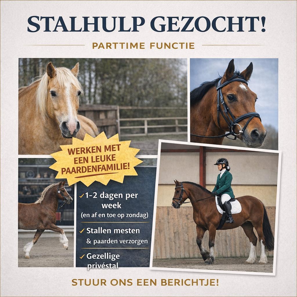 Stalhulp gezocht – flexibele werkdagen (tot 32 uur), Vacatures, Vacatures | Overige Vacatures, LBO / VMBO, Vanaf 3 jaar, Tijdelijk contract