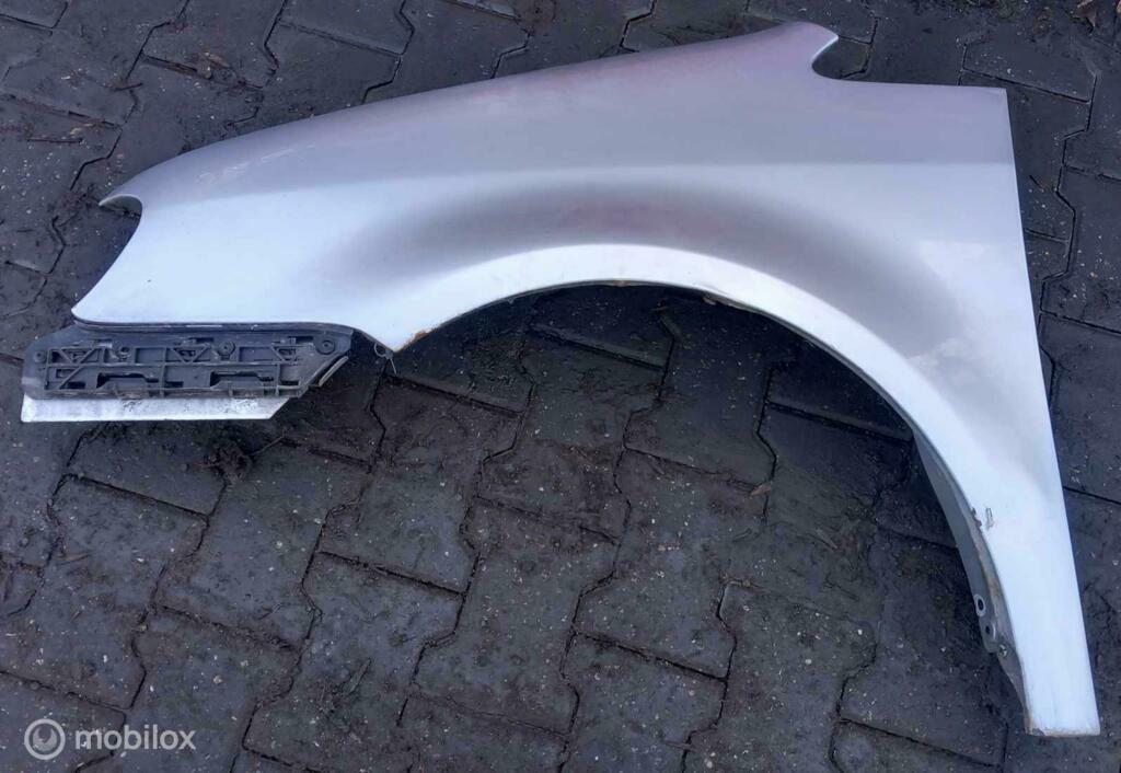 Spatscherm Volkswagen Touran, Ophalen of Verzenden, Gebruikt